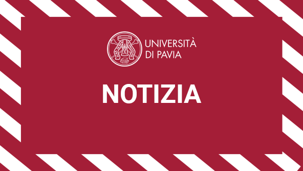 SENIOR ANALYST INSURANCE – EXC CONSULTING